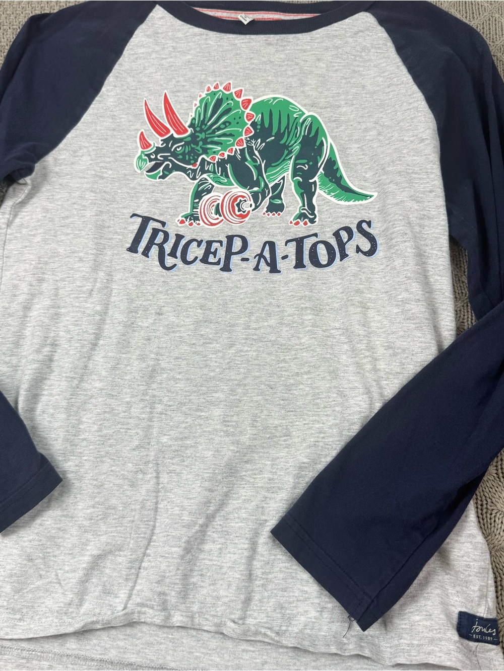 Joules Boys Youth Tricep-A-Tops Dinosaur Graphic Raglan Shirt ~ 11/12 - Picture 4 of 11